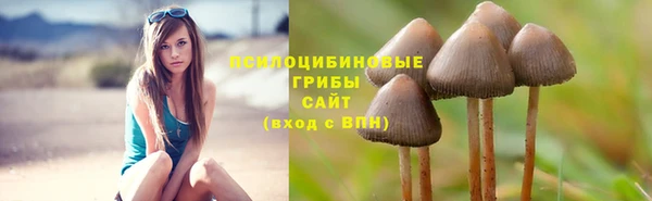 mix Кукмор