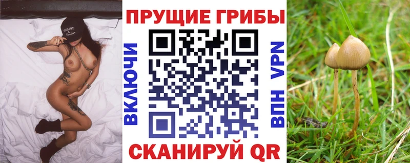 Галлюциногенные грибы MAGIC MUSHROOMS Южа